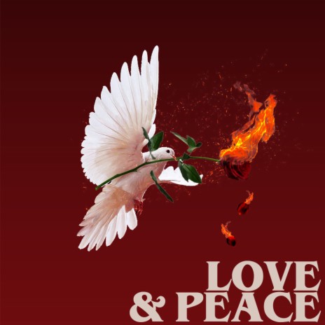 Love & Peace | Boomplay Music