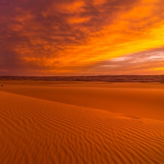 Glistening Sand Dance