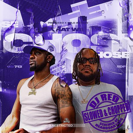 Life That we Chose (Slowed Version) ft. DJ Red & EDF | Boomplay Music