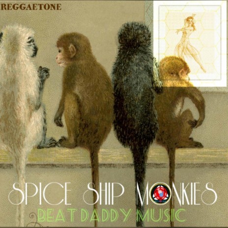 Spice Ship Monkies | Boomplay Music