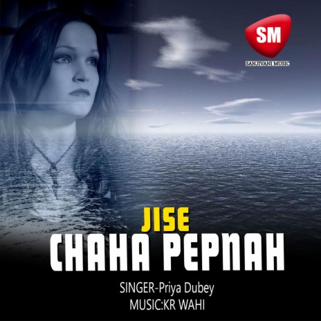 Jise Chaha Bepanah | Boomplay Music