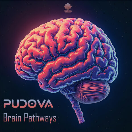 Brain Pathways | Boomplay Music