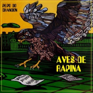 Aves de Rapina