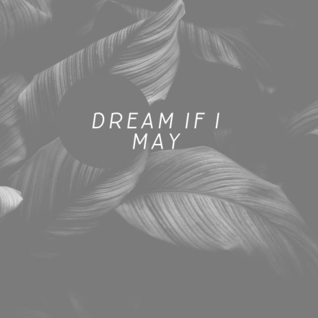 Dream if I May | Boomplay Music