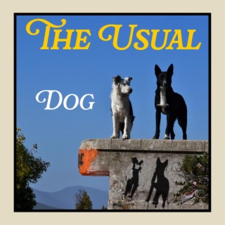 Dog lyrics | Boomplay Music