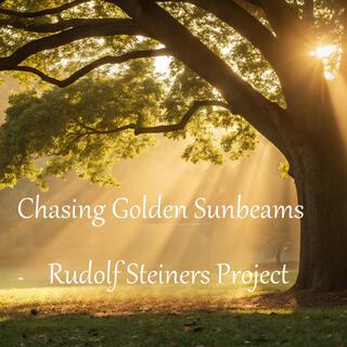 Chasing Golden Sunbeams