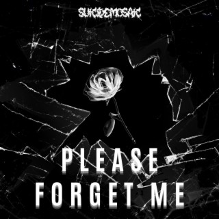 Please Forget Me lyrics | Boomplay Music