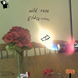 wild rose lyrics | Boomplay Music