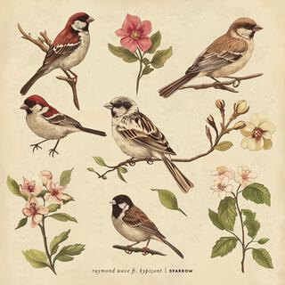 Sparrow