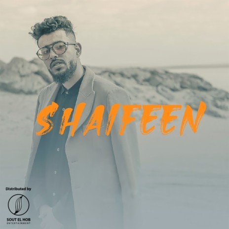 Shaifeen ft. Gajoor | Boomplay Music