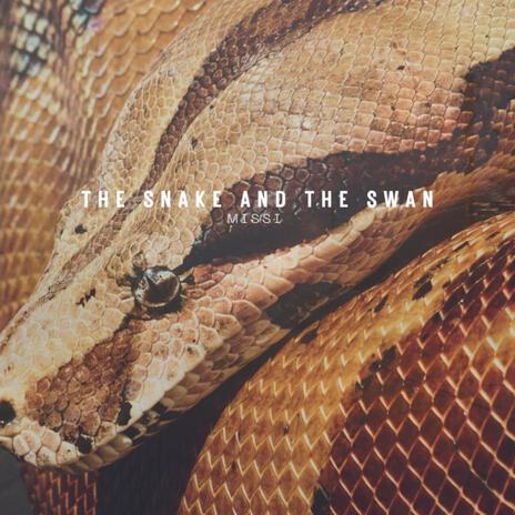 The Snake and The Swan | Boomplay Music