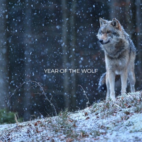 Year Of The Wolf | Boomplay Music