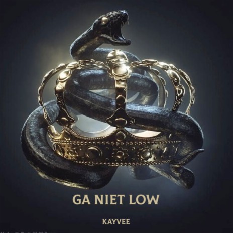 Ga Niet Low | Boomplay Music