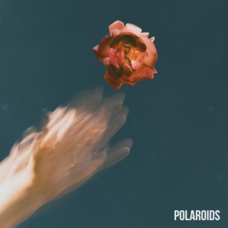 polaroids (ft Rose)