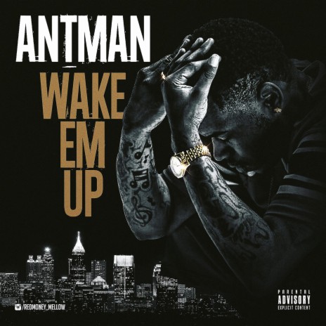 Wake Em Up | Boomplay Music