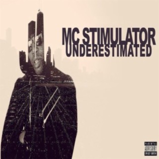 MC Stimulator