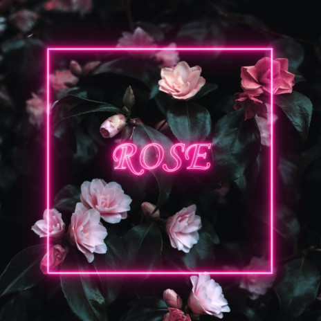 Rose | Boomplay Music