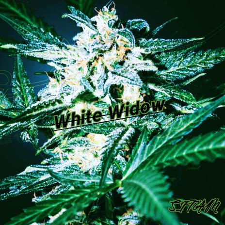 White Widow | Boomplay Music