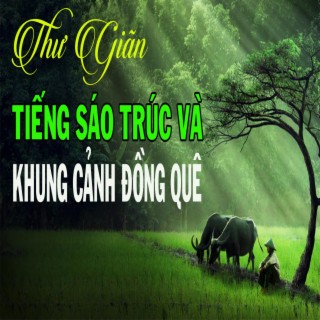 THƯ GIÃN VỚI VỚI TIẾNG SÁO TRÚC CÙNG PHONG CẢNH ĐỒNG QUÊ DT