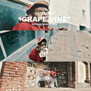 GRAPEVINE