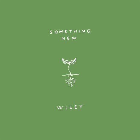 Something New | Boomplay Music