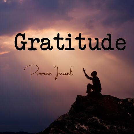 Gratitude | Boomplay Music