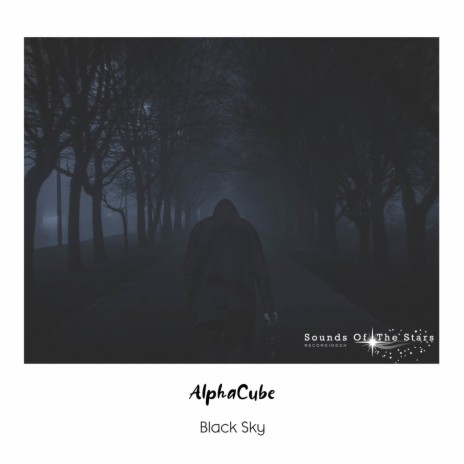 Black Sky | Boomplay Music