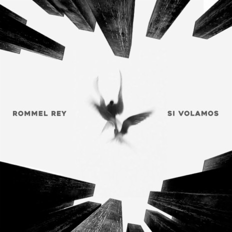 Si volamos | Boomplay Music