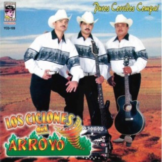 Puros Corridos Compa