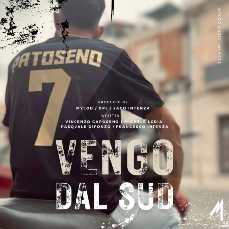 Vengo Dal Sud | Boomplay Music