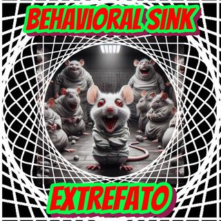 Behavioral Sink lyrics | Boomplay Music