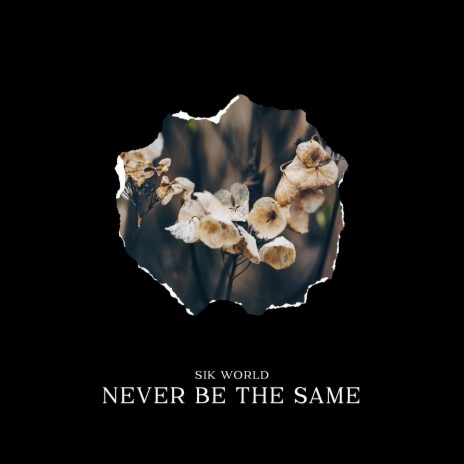 Never Be The Same | Boomplay Music