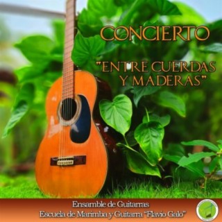 Concierto Entre Cuerdas y Maderas