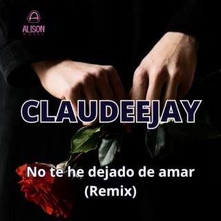 No Te He Dejado De Amar (Remix)