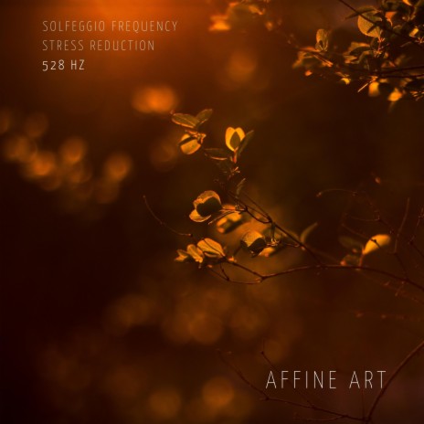 Solfeggio Frequency - Stress Reduction - 528 Hz | Boomplay Music