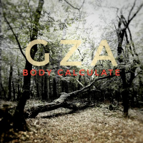 GZA | Boomplay Music