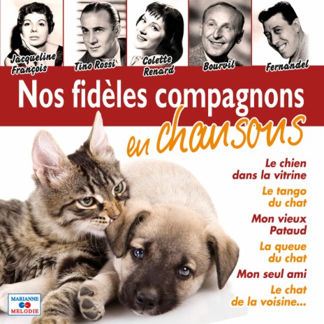 Chiens et chats | Boomplay Music