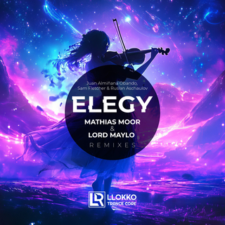 Elegy Remix EP