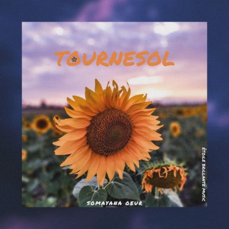 Tournesol