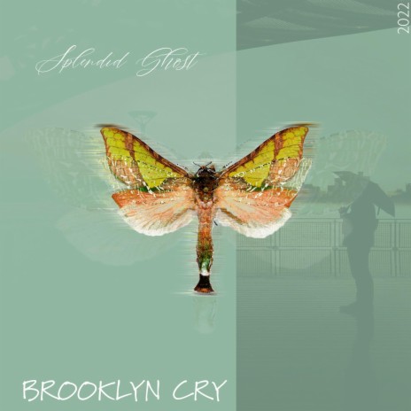 Brooklyn Cry
