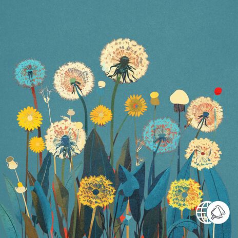 Dandelions ft. Odd Panda | Boomplay Music