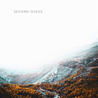 Second-Guess