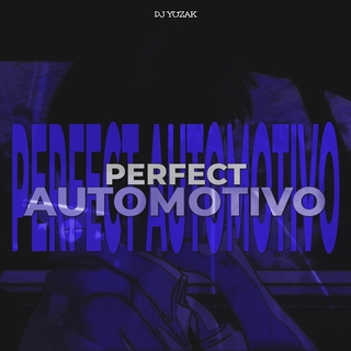 PERFECT AUTOMOTIVO