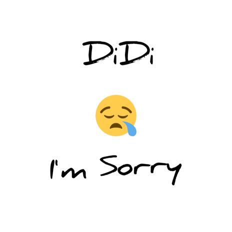 I'm Sorry | Boomplay Music