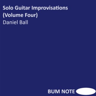 Solo Guitar Improvisations (Volume Four)