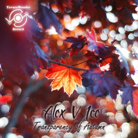 Transparency of Autumn (Original Mix) | Boomplay Music