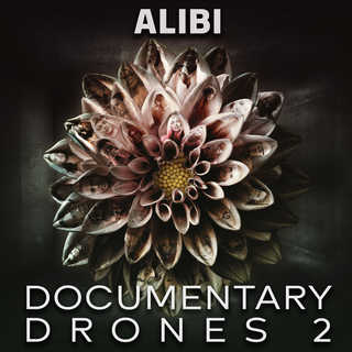 Documentary Drones, Vol. 2