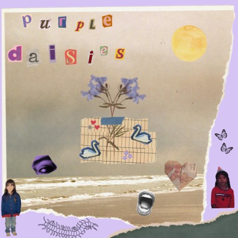 Purple Daisies | Boomplay Music