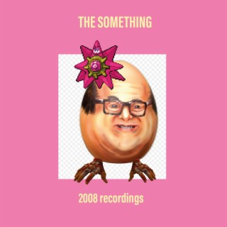 The Something 2008 recordings