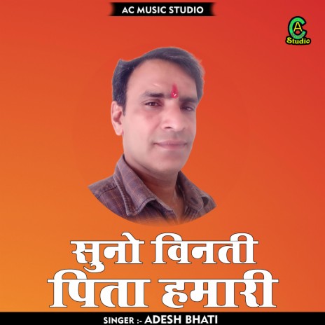 Suno Vinti Pita Hamari (Hindi) | Boomplay Music